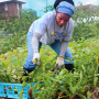 Veteran working at Common Good City Farm