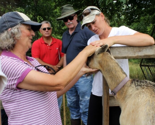 Sara Creech, right, participating in Armed to Farm